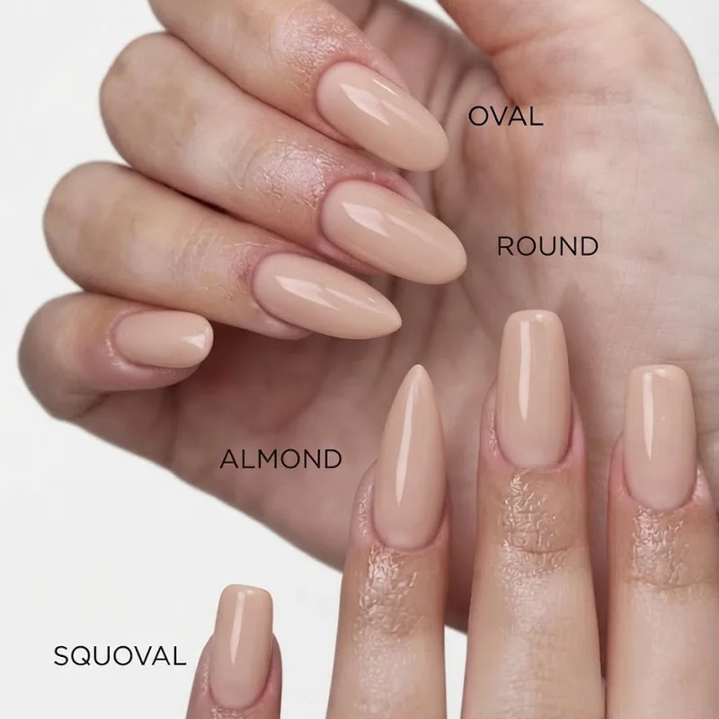 Infographic comparing round, oval, almond, and squoval nail tip silhouettes side by side for shape reference