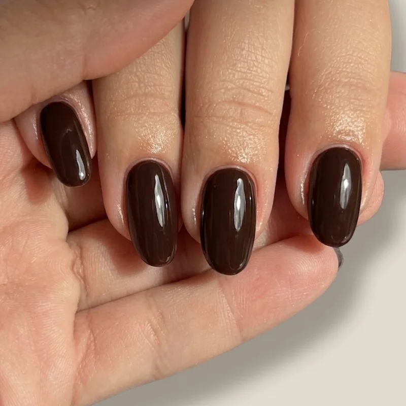 Final aspirational deep chocolate brown full hand shot, richest winter nail shade closing image