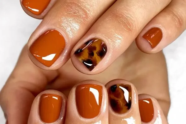 Fall 2025 burgundy nails with tortoiseshell pattern accent nail burnt orange details sophisticated autumn look