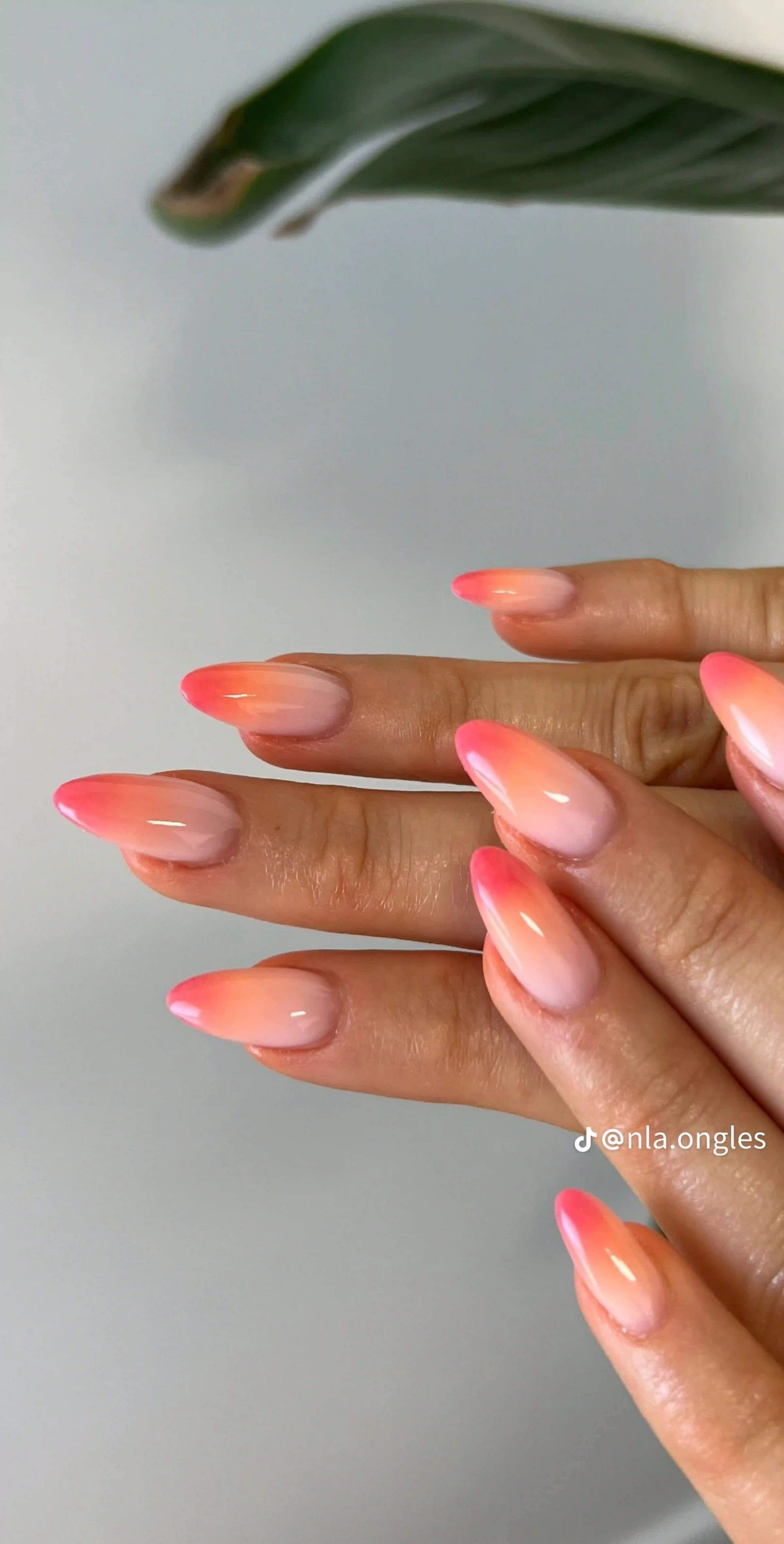Coral french tips peach warm summer creating tropical cheerful bright vibrant manicure for vacation